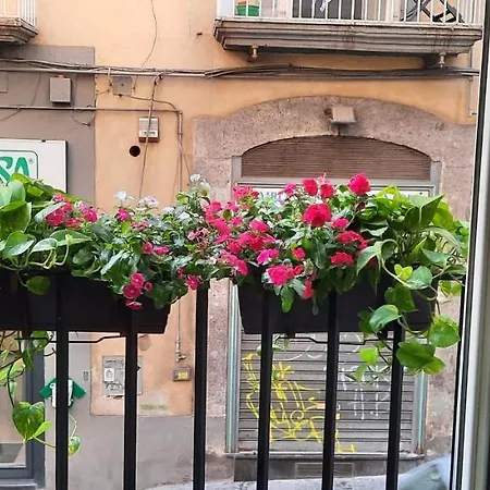Apartman F&b